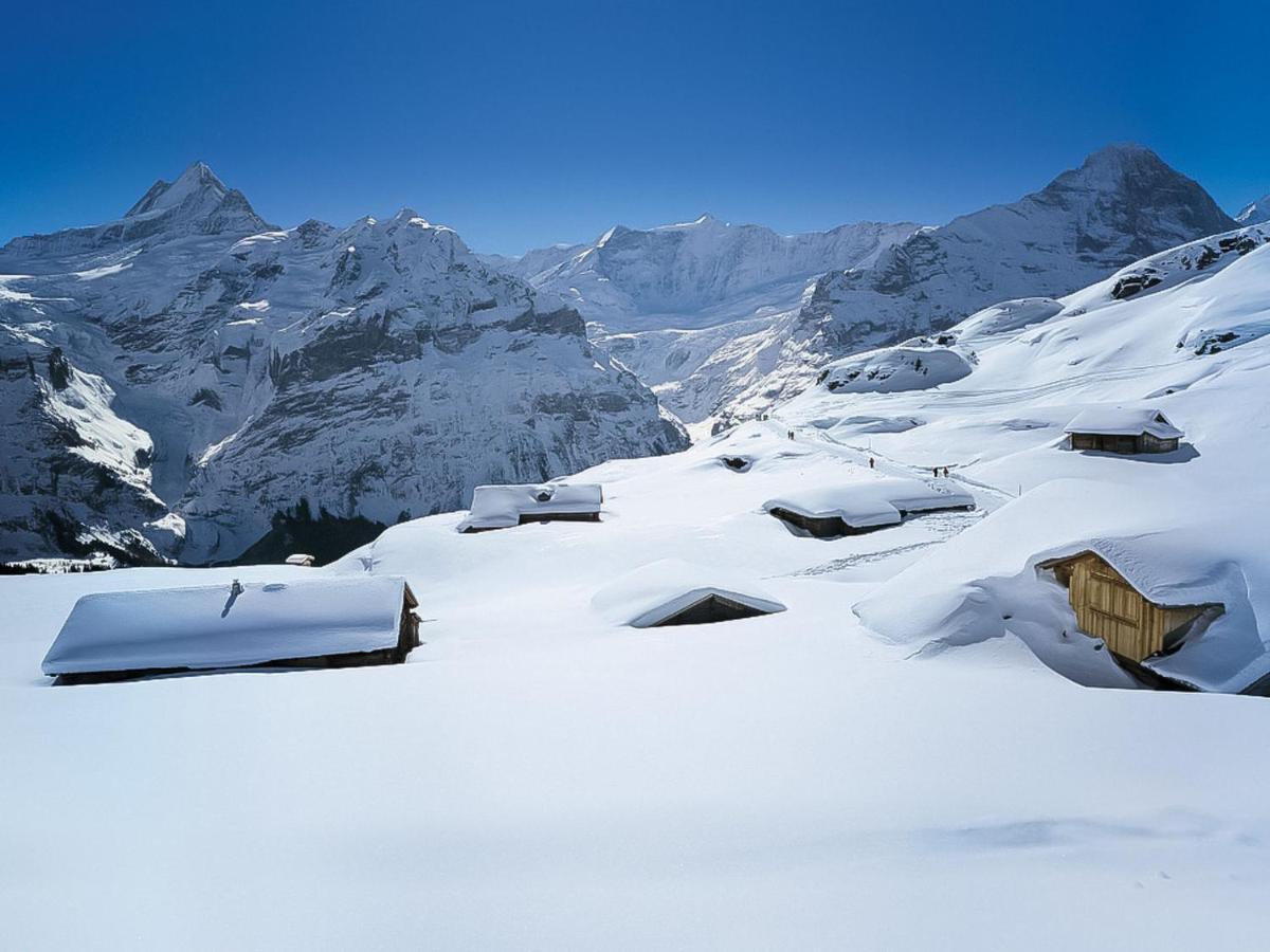 Apartment Chalet Jrene By Interhome Grindelwald Exterior foto